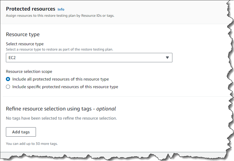 W przykładzie widoczne są instancje EC2, które utworzono wcześniej i których kopię zapasową również utworzono wcześniej. Można określić, że konkretny plan dotyczy typów zasobów Amazon EC2. W zakresie selekcji uwzględnij wszystkie chronione zasoby tego typu zasobu EC2. Nie ma wielu zasobów, więc nie dodano opcjonalnych tagów.
