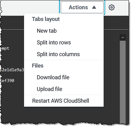 karty i sesj aws cloudshell