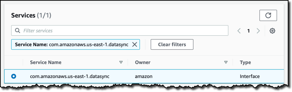 datasync endpoint service