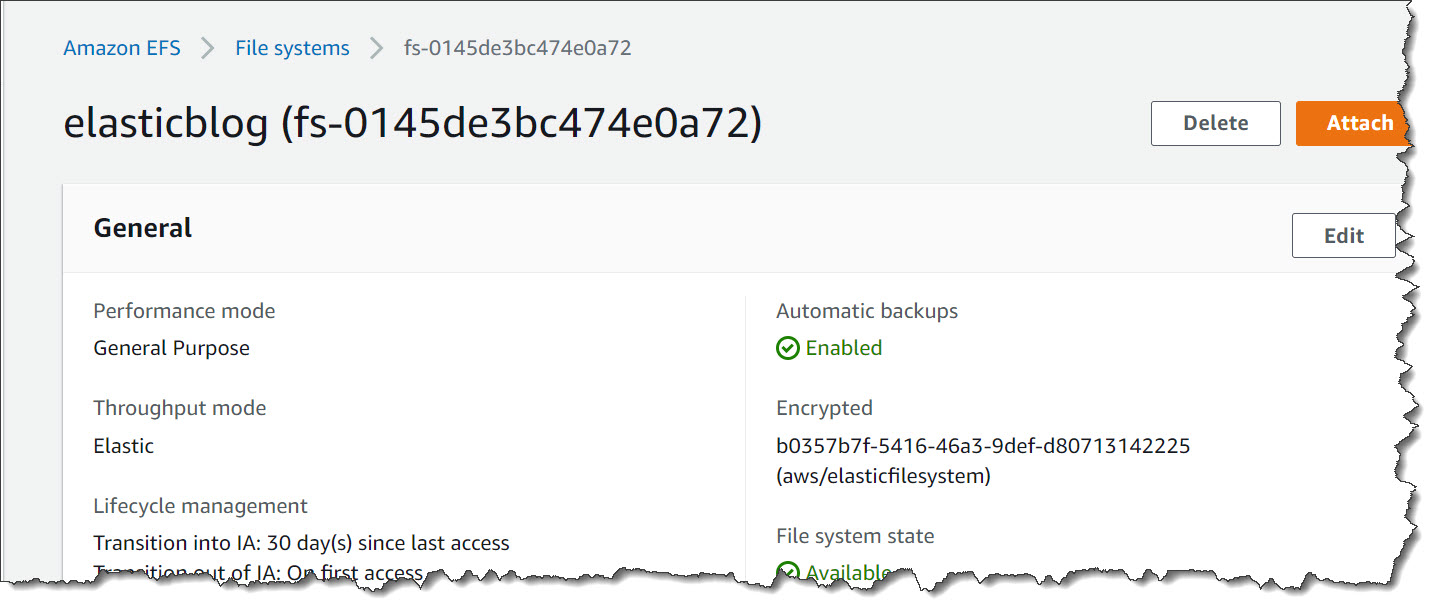 File system (elasticblog)