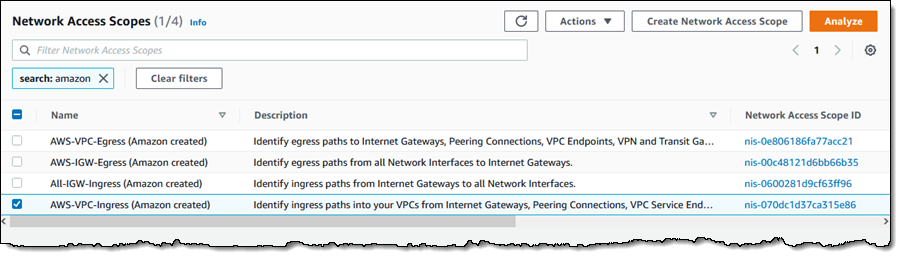 Network Access Scopes