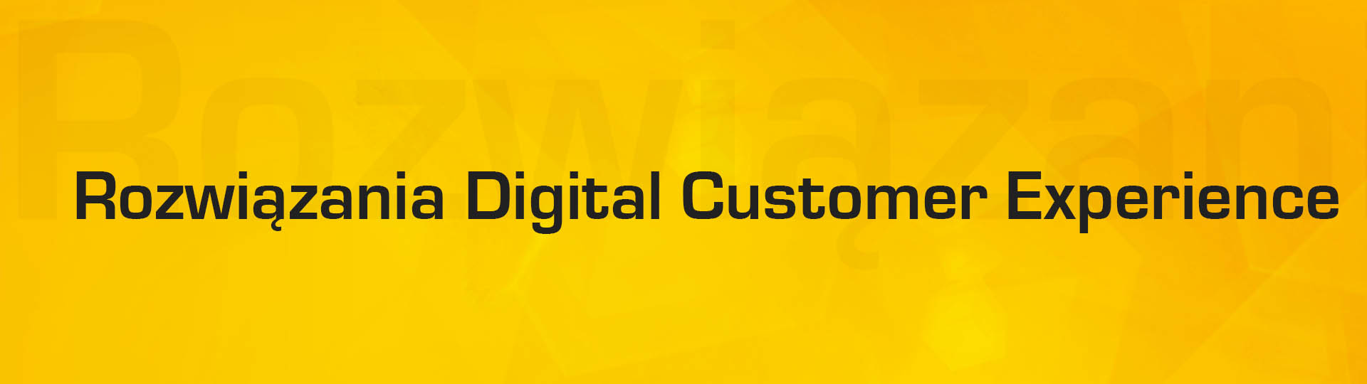 Rozwiazania Digital Customer Experience (DCX)